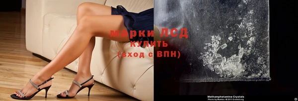 ПСИЛОЦИБИНОВЫЕ ГРИБЫ Сосновый Бор
