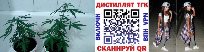 hydra маркетплейс  Краснокаменск  ТГК вейп с тгк  как найти наркотики 